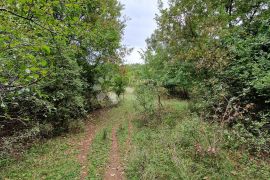 Poljoprivredno zemljište između Galižane i Loborike, Vodnjan, Terreno