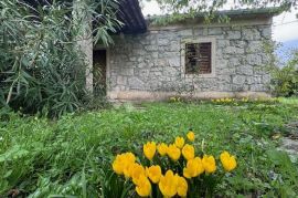 Predivna kamena kuća na lijepoj poziciji i velikoj okućnici., House