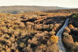 Poljoprivredno zemljište HRBOKI. 25.000 M2 IDEALNO ZA OPG., Barban, Terreno