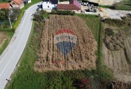 GRAĐEVINSKO ZEMLJIŠTE 2406 m2, TUHELJ, GOSPODARSKE NAMJENE, Tuhelj, Zemljište