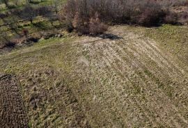 ISTRA, MOTOVUN - Građevinsko zemljište 1970 m2 sa pogledom na Motovun, na osami, Buzet, Land