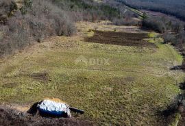 ISTRA, MOTOVUN - Građevinsko zemljište 1970 m2 sa pogledom na Motovun, na osami, Buzet, Land