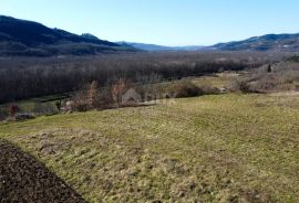 ISTRA, MOTOVUN - Građevinsko zemljište 1970 m2 sa pogledom na Motovun, na osami, Buzet, Tierra