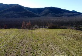 ISTRA, MOTOVUN - Građevinsko zemljište 1970 m2 sa pogledom na Motovun, na osami, Buzet, Tierra