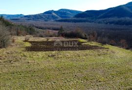 ISTRA, MOTOVUN - Građevinsko zemljište 1970 m2 sa pogledom na Motovun, na osami, Buzet, Terreno