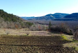 ISTRA, MOTOVUN - Građevinsko zemljište 1970 m2 sa pogledom na Motovun, na osami, Buzet, Tierra