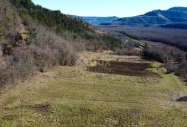 ISTRA, MOTOVUN - Građevinsko zemljište 1970 m2 sa pogledom na Motovun, na osami, Buzet, Γη