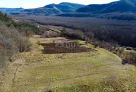 ISTRA, MOTOVUN - Građevinsko zemljište 1970 m2 sa pogledom na Motovun, na osami, Buzet, أرض