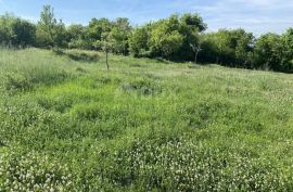 ISTRA, BARBAN - Građevinsko zemljište na mirnoj lokaciji!, Barban, Terra