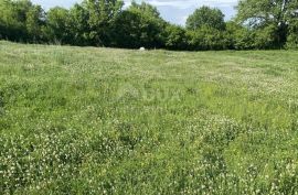 ISTRA, BARBAN - Građevinsko zemljište na mirnoj lokaciji!, Barban, Tierra