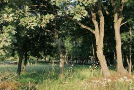 ISTRA, MEDULIN - Građevinsko zemljište na atraktivnoj lokaciji, Medulin, Land