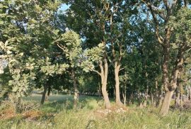 ISTRA, MEDULIN - Građevinsko zemljište na atraktivnoj lokaciji, Medulin, Land