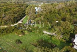 Tribalj, odlično zemljište na idiličnoj lokaciji, Vinodolska Općina, Terrain