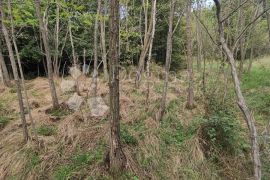 Građevinsko zemljište za VILLU iz snova, Vinodolska Općina, Terrain