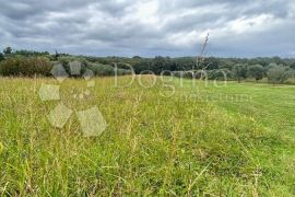 POLJOPRIVREDNO ZEMLJIŠTE 250M OD MORA - Banjole, Medulin, Земля