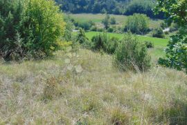 Veliko poljoprivredno zemljište u okolici Butonige, Pazin - Okolica, Γη