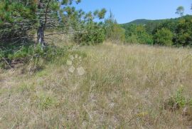 Veliko poljoprivredno zemljište u okolici Butonige, Pazin - Okolica, Terrain