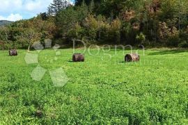 Veliko poljoprivredno zemljište u okolici Butonige, Pazin - Okolica, Terreno