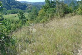 Veliko poljoprivredno zemljište u okolici Butonige, Pazin - Okolica, Terrain