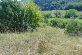 Veliko poljoprivredno zemljište u okolici Butonige, Pazin - Okolica, Terrain