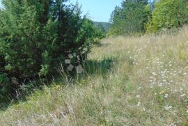 Veliko poljoprivredno zemljište u okolici Butonige, Pazin - Okolica, Terrain