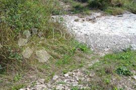 Veliko poljoprivredno zemljište u okolici Butonige, Pazin - Okolica, Arazi