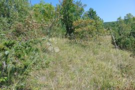 Veliko poljoprivredno zemljište u okolici Butonige, Pazin - Okolica, Земля