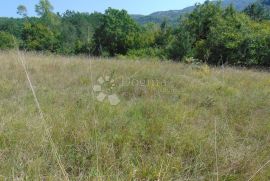 Veliko poljoprivredno zemljište u okolici Butonige, Pazin - Okolica, Земля