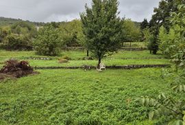 Kastav, Trinajstići građevinsko zemljište 1195 m2, Kastav, Zemljište