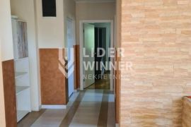 Namešten, bez ulaganja ID#130575, Zemun, Flat