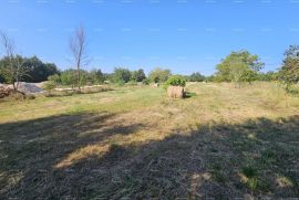 Građevinsko zemljište Prodaja građevinskog zemljišta, Žminj, Žminj, Terreno