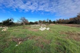 Istra, Svetvinčenat, Juršići, građevinsko zemljište 858m2 # prodaja, Svetvinčenat, Terrain