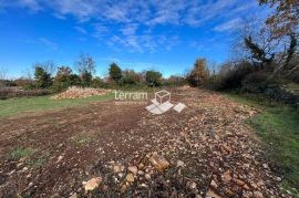 Istra, Svetvinčenat, Juršići, građevinsko zemljište 858m2 # prodaja, Svetvinčenat, Terra