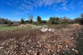 Istra, Svetvinčenat, Juršići, građevinsko zemljište 858m2 # prodaja, Svetvinčenat, Terra