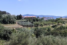 Istra, Buzet - građevinsko zemljište s pogledom na prirodu, Buzet, Terreno