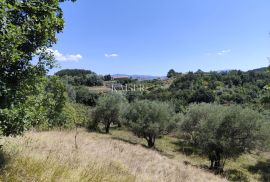 Istra, Buzet - građevinsko zemljište s pogledom na prirodu, Buzet, Terrain