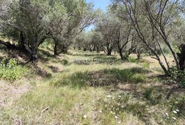 Istra, Buzet - građevinsko zemljište s pogledom na prirodu, Buzet, Land