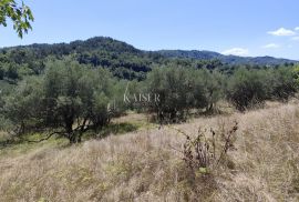 Istra, Buzet - građevinsko zemljište s pogledom na prirodu, Buzet, Terrain