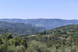 Istra, Buzet - starina s građevinskim zemljištem, Buzet, Maison