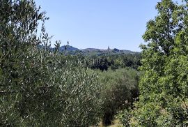 Istra, Buzet - starina s građevinskim zemljištem, Buzet, Kuća