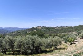 Istra, Buzet - starina s građevinskim zemljištem, Buzet, Kuća