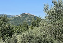 Istra, Motovun građevinsko zemljište ispod starog grada, Motovun, Terra