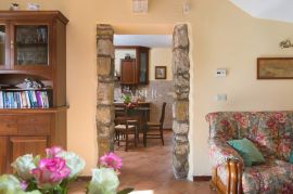 Istra, Buje, rustikalna vila s bazenom 160m2, Buje, Famiglia