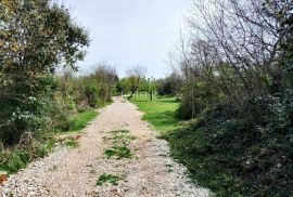 Rovinj - poljoprivredno zemljište blizu mora, Rovinj, Terreno