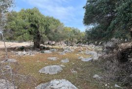 Otok Pag, Lun - jedinstveno građevinsko zemljište 950m2, Pag, أرض