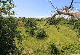 Istra - Poreč, građevinsko zemljište 500 m do mora T1 zona, Poreč, Terreno