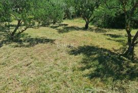 Zadar-Posedarje, atraktivno građevinsko zemljište, Posedarje, Terrain