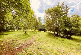 Moščenićka Draga - atraktivan teren s ruševinom, Mošćenička Draga, Land