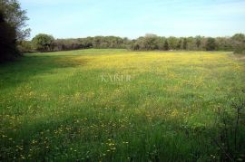 Ližnjan - atraktivno zemljište, Ližnjan, Land