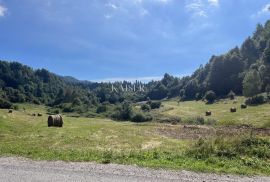 Crni Lug, građevinsko zamljište u blizini NP Risnjaka, Delnice, Terreno